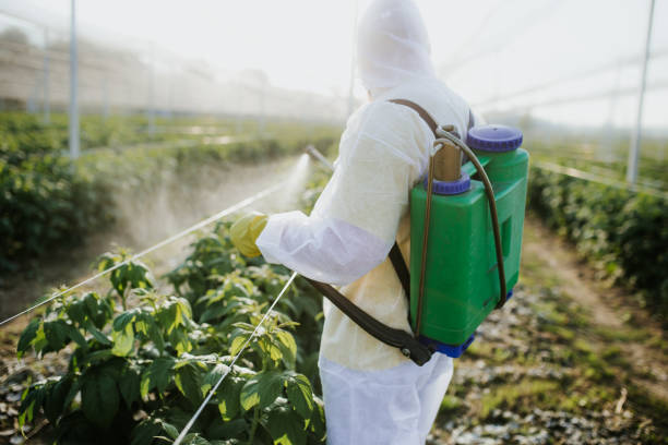 Best Local Pest Control Services  in Angola, IN